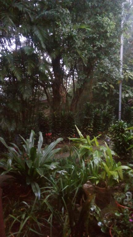 Hotel Los Jardines De Monteverde Exterior photo